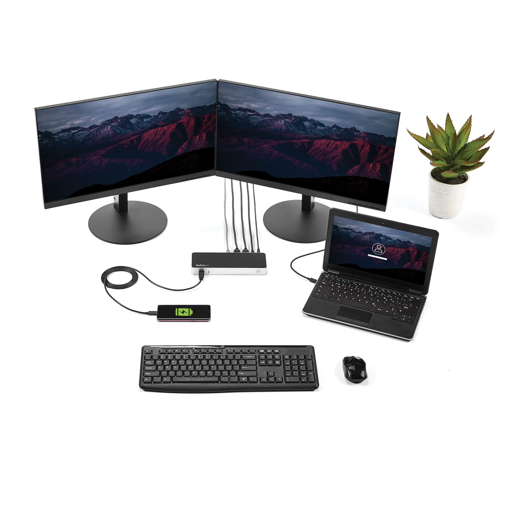 StarTech USB-C Dual Monitor Docking Station – HDMI & DVI, 60W Power Delivery-7